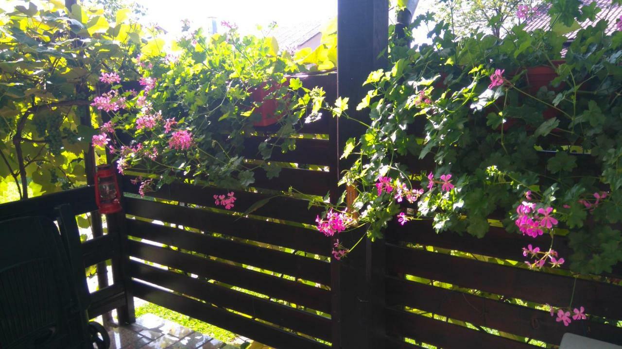 Apartman Sunce Ogulin Exterior foto
